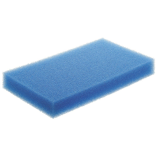Festool Nassfilter NF-CT MINI/MIDI blauer Schaumstofffilter Draufsicht
